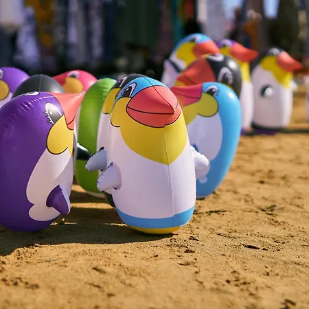 In 24441 * Бібіоне