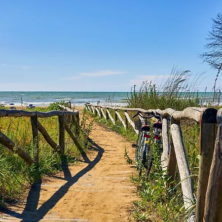 Apartamento In 24441 *