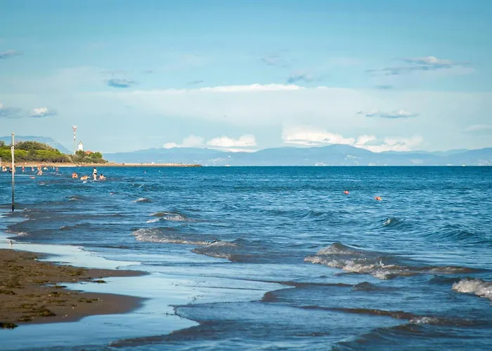 In 24441 * Бібіоне